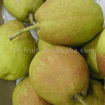 Koerle Fragrant Pears